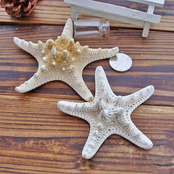 1stk Tilfældig Havet Stjerner Miniature Stjerne Formet Figur Home Decor Væggen Håndværk Ornamenter Naturlige Tropiske Ocean Gave 4-7 cm