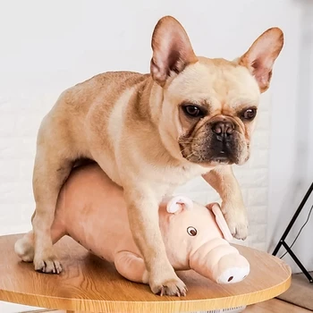 Plys Gris, Hund, der Ledsager Sovende Legetøj til Små Hunde-fransk Bulldog Bider Molar Udluftning Forsyninger Hvalp Dog at Spille Toy