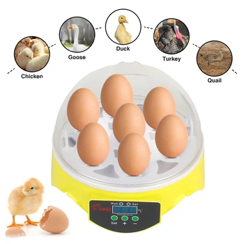 Mini Æg Inkubator 7 Æg Gård Rugeri Brooder Justerbar Digital Temperatur Fjerkræ Væksthus For Chicken And Bird Due
