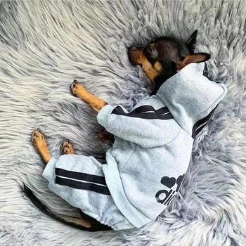Pet Hund Tøj Og Hættetrøjer Fransk Bulldog Hvalp Hund Kostume Chihuahua Mops Hunde Tøj Pet Buksedragt Til Mellemstore Lille Hvalp Outfit