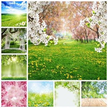 Yeele Foråret Natur Blomstrende Træ Blomster Fotografering, Fotografisk Kulisse Baggrunde Til Foto-Studio