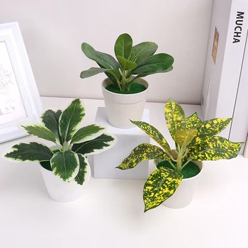 Mini Desktop Små Potteplanter Kunstige Aloe Vera Plante Bonsai Plante Falske Blomst Bruser Potteplanter Dekoration Hjemme I Haven Dekoration